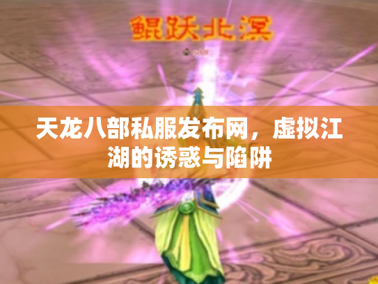 天龙八部私服发布网，虚拟江湖的诱惑与陷阱
