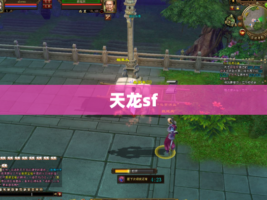 天龙sf