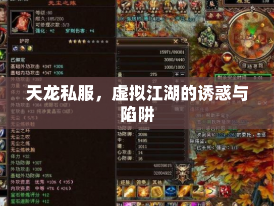天龙私服，虚拟江湖的诱惑与陷阱