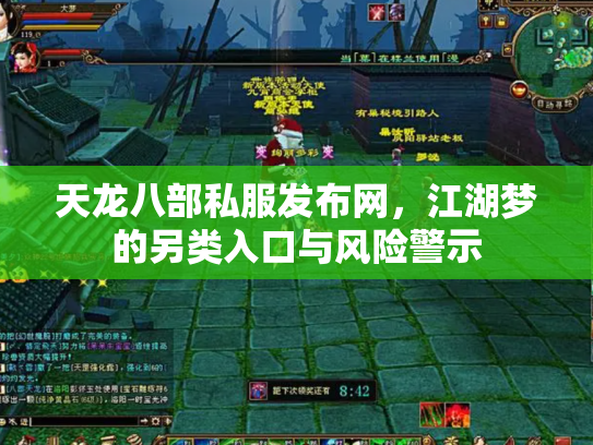 天龙八部私服发布网，江湖梦的另类入口与风险警示