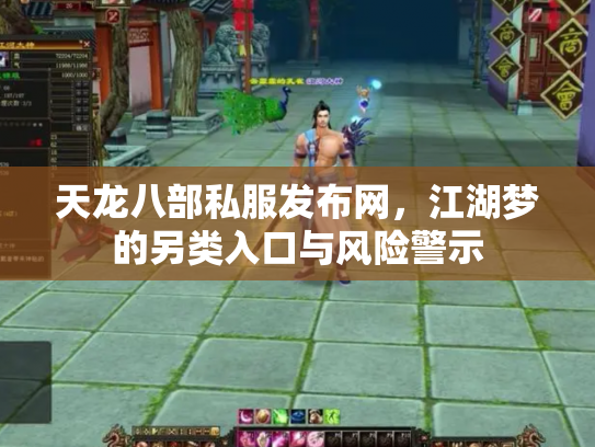 天龙八部私服发布网，江湖梦的另类入口与风险警示