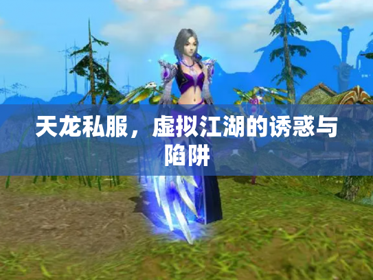 天龙私服，虚拟江湖的诱惑与陷阱