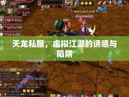 天龙私服，虚拟江湖的诱惑与陷阱