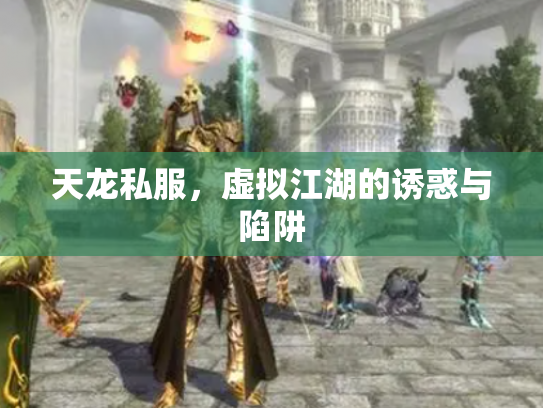 天龙私服，虚拟江湖的诱惑与陷阱