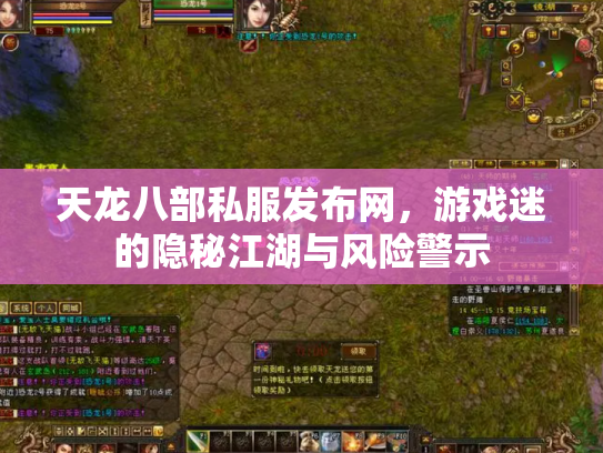 天龙八部私服发布网，游戏迷的隐秘江湖与风险警示