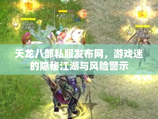 天龙八部私服发布网，游戏迷的隐秘江湖与风险警示