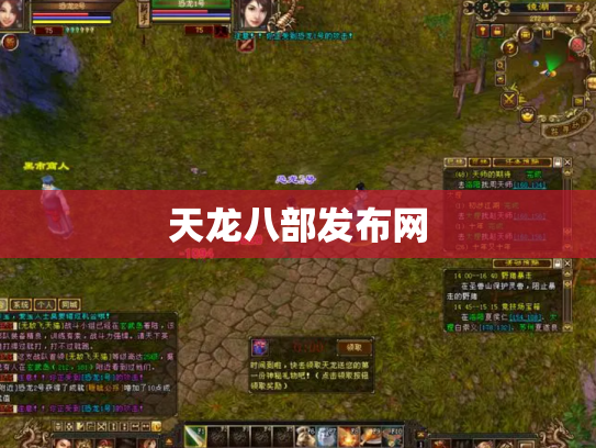 天龙八部发布网