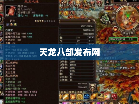 天龙八部发布网