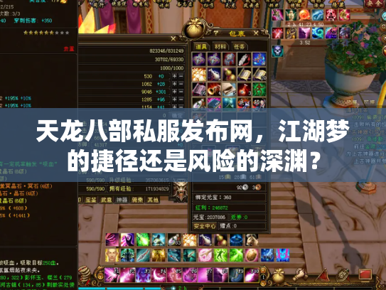 天龙八部私服发布网，江湖梦的捷径还是风险的深渊？