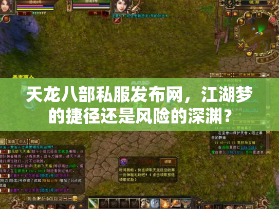 天龙八部私服发布网，江湖梦的捷径还是风险的深渊？
