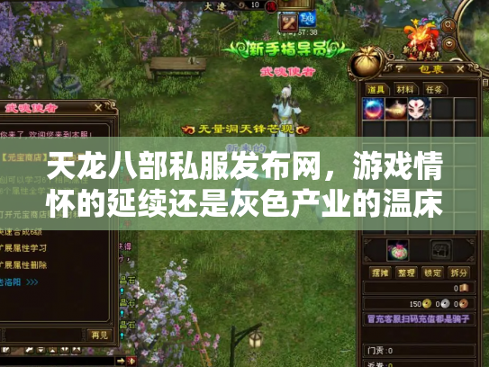 天龙八部私服发布网，游戏情怀的延续还是灰色产业的温床？