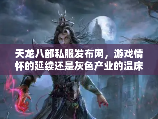 天龙八部私服发布网，游戏情怀的延续还是灰色产业的温床？