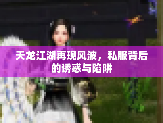 天龙江湖再现风波，私服背后的诱惑与陷阱