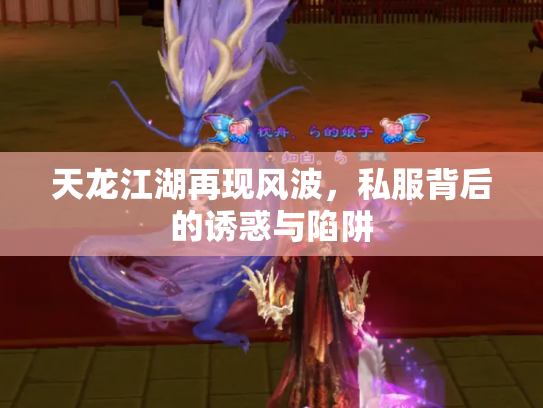 天龙江湖再现风波，私服背后的诱惑与陷阱