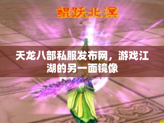 天龙八部私服发布网，游戏江湖的另一面镜像
