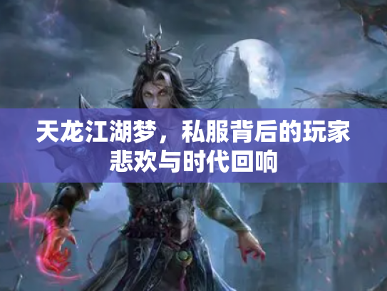 天龙江湖梦，私服背后的玩家悲欢与时代回响