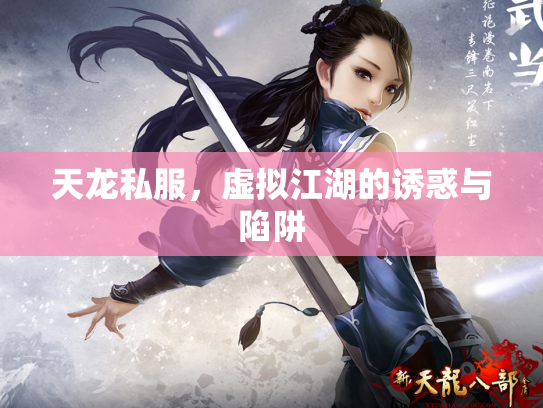 天龙私服，虚拟江湖的诱惑与陷阱