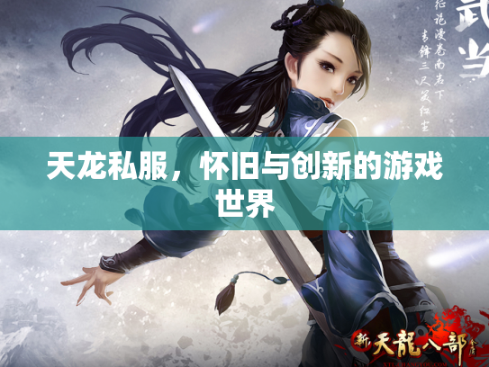 天龙私服，怀旧与创新的游戏世界