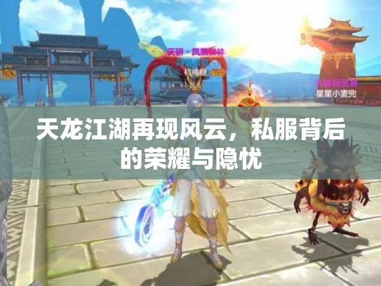 天龙江湖再现风云，私服背后的荣耀与隐忧