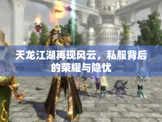 天龙江湖再现风云，私服背后的荣耀与隐忧