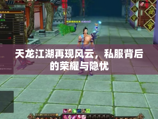 天龙江湖再现风云，私服背后的荣耀与隐忧