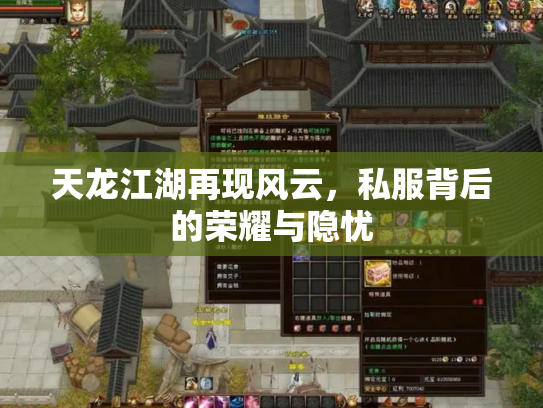 天龙江湖再现风云，私服背后的荣耀与隐忧