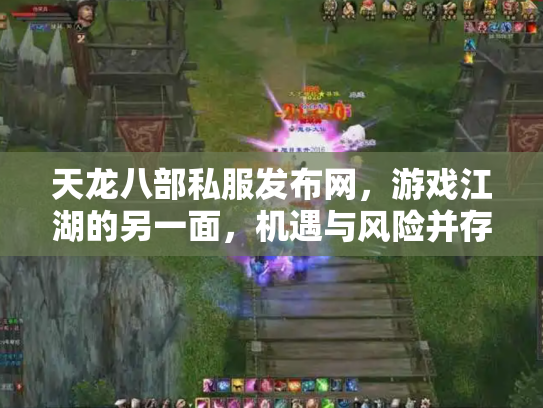 天龙八部私服发布网，游戏江湖的另一面，机遇与风险并存