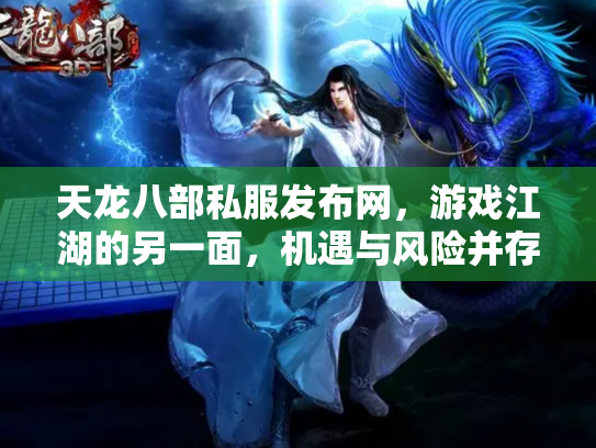 天龙八部私服发布网，游戏江湖的另一面，机遇与风险并存