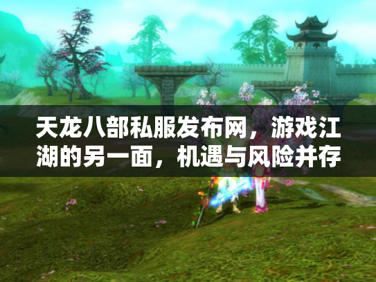 天龙八部私服发布网，游戏江湖的另一面，机遇与风险并存