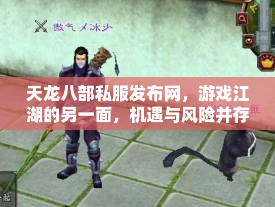 天龙八部私服发布网，游戏江湖的另一面，机遇与风险并存