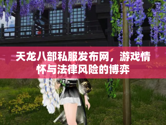 天龙八部私服发布网，游戏情怀与法律风险的博弈
