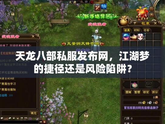 天龙八部私服发布网，江湖梦的捷径还是风险陷阱？