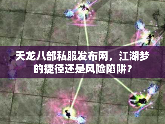 天龙八部私服发布网，江湖梦的捷径还是风险陷阱？