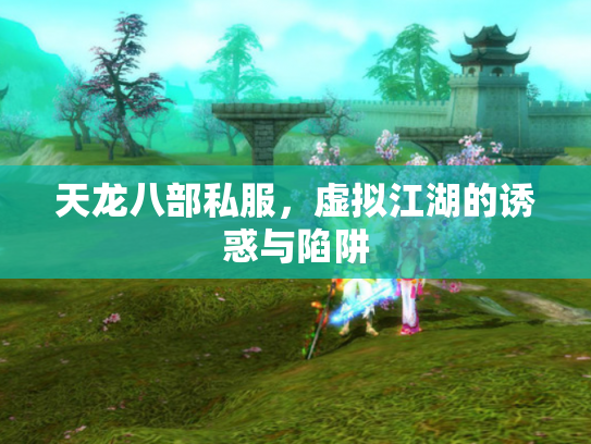 天龙八部私服，虚拟江湖的诱惑与陷阱