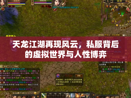 天龙江湖再现风云，私服背后的虚拟世界与人性博弈