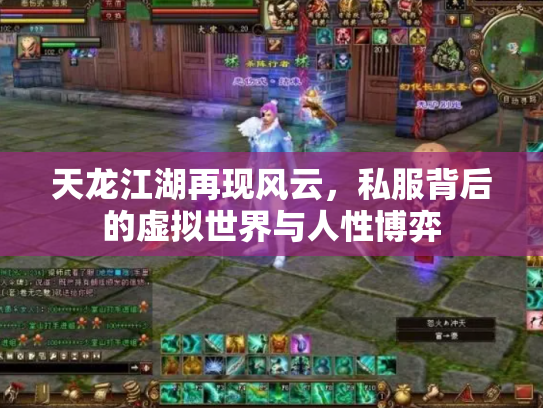 天龙江湖再现风云，私服背后的虚拟世界与人性博弈