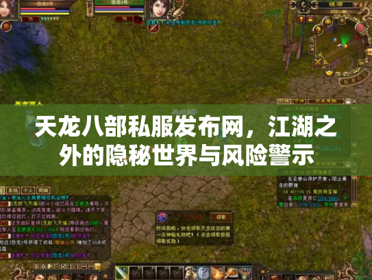 天龙八部私服发布网，江湖之外的隐秘世界与风险警示