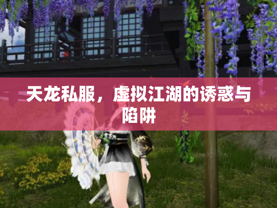 天龙私服，虚拟江湖的诱惑与陷阱