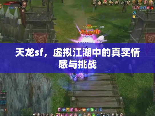 天龙sf，虚拟江湖中的真实情感与挑战