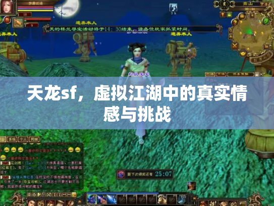 天龙sf，虚拟江湖中的真实情感与挑战