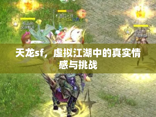天龙sf，虚拟江湖中的真实情感与挑战