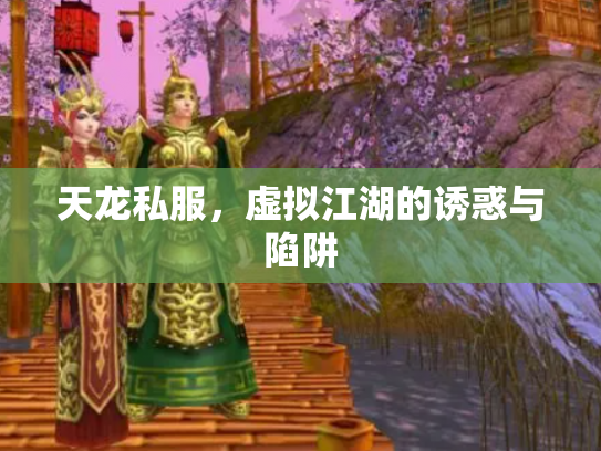 天龙私服，虚拟江湖的诱惑与陷阱
