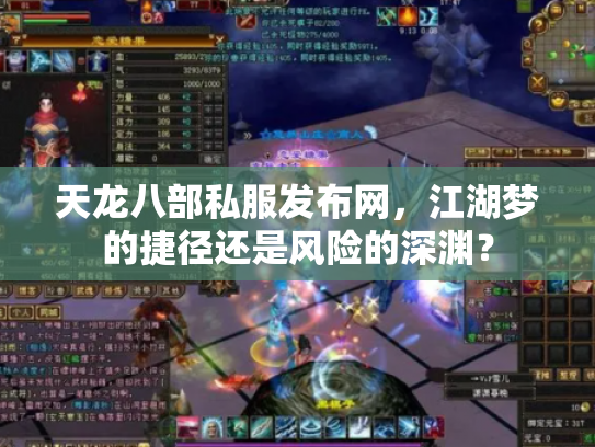 天龙八部私服发布网，江湖梦的捷径还是风险的深渊？