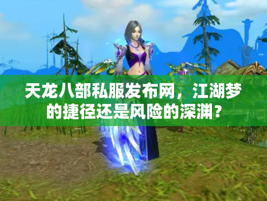 天龙八部私服发布网，江湖梦的捷径还是风险的深渊？