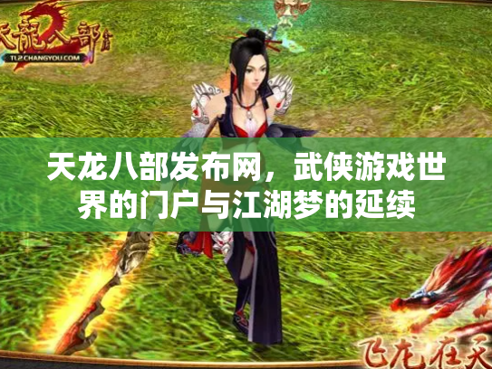 天龙八部发布网，武侠游戏世界的门户与江湖梦的延续