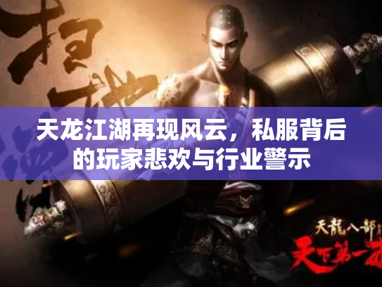天龙江湖再现风云，私服背后的玩家悲欢与行业警示