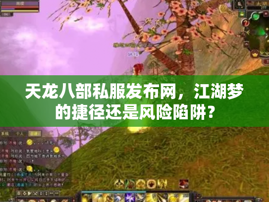 天龙八部私服发布网，江湖梦的捷径还是风险陷阱？
