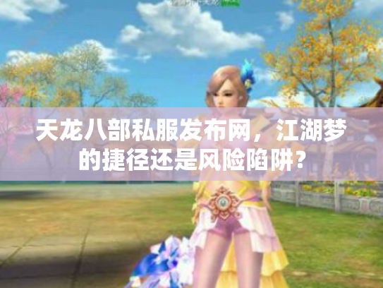 天龙八部私服发布网，江湖梦的捷径还是风险陷阱？