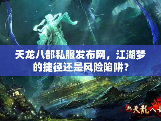 天龙八部私服发布网，江湖梦的捷径还是风险陷阱？