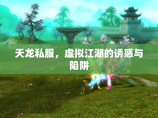 天龙私服，虚拟江湖的诱惑与陷阱